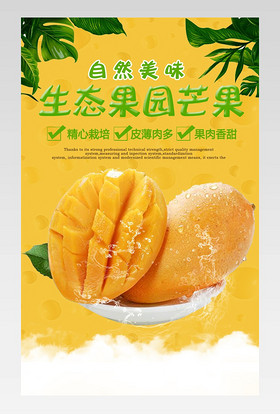  清爽水果越南进口芒果详情页产品描述页