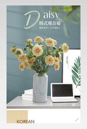 韩式小清新菊花鲜花园艺绿植花瓶花盆创意详情页