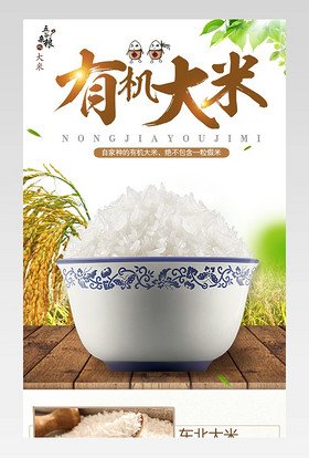 东北有机大米小清新简约详情页设计