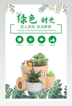 简约小清新绿色盆栽多肉绿植详情页