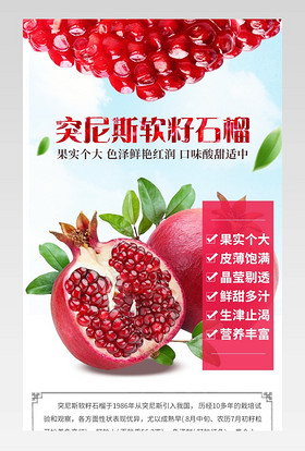 生鲜水果果园农产品突尼斯软籽石榴红石榴详情页