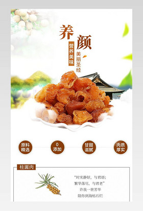 简约中国风日常通用桂圆干食品零食详情页