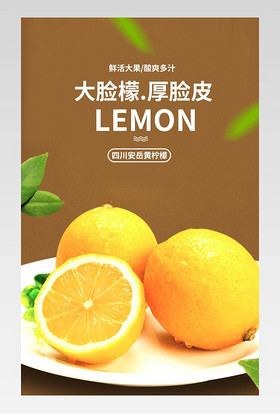 水果柠檬清新唯美风柠檬片详情页产品描述页通用