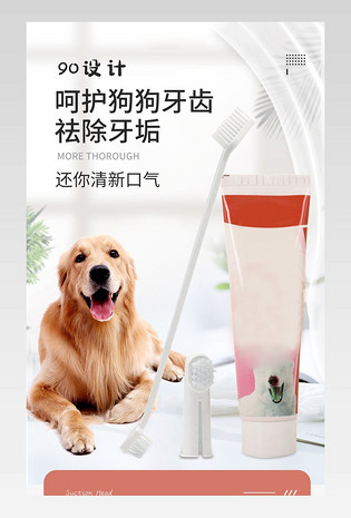 狗狗牙刷套装牙齿口腔清洁用品除口臭刷牙洁齿可食用