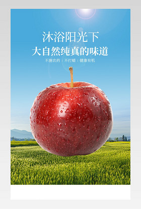 小清新简约风生鲜苹果水果详情页红富士描述页设计