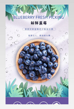 时尚小清新简约酸甜可口的水果蓝莓食品茶饮食品活动促销水果蓝莓无线端店铺装修描述页详情描述页面介绍