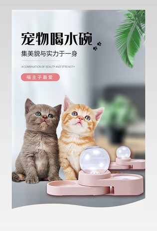 简约大气时尚宠物饮水碗器皿详情页设计素材