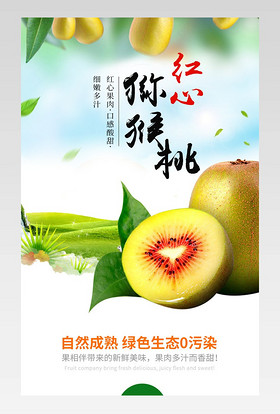 红心猕猴桃生鲜水果果园农产品红心苍溪猕猴桃水果之王详情页
