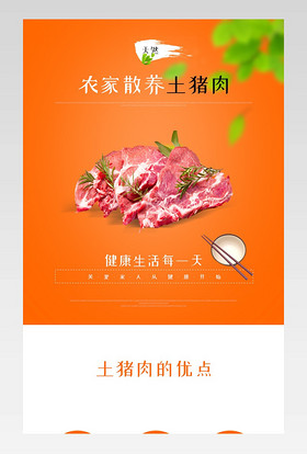 农家散养土猪肉，猪肉零食详情页