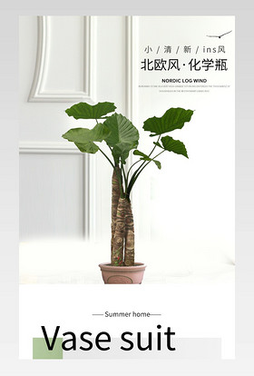 北欧风现代简约玻璃花瓶工艺品摆件小清新花器装饰鲜花园艺详情页