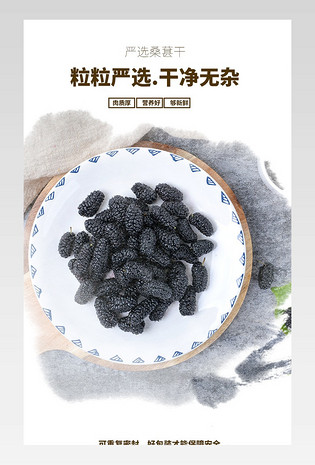  滋补品养生品 药品 桑葚详情页 