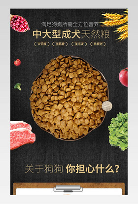 清新简约风狗粮详情页产品描述页通用