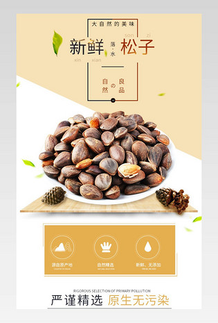 食品松子详情页产品描述页通用 