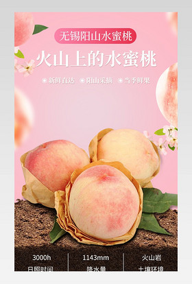 日常通用清新简约水果水蜜桃有机水果通用详情描述页面
