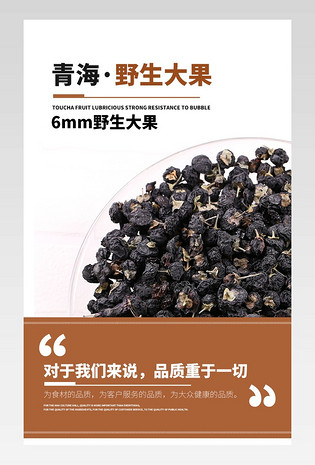 大气古典风黑枸杞保健品详情页产品描述页