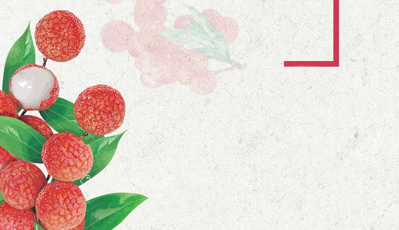 荔枝水果广告背景