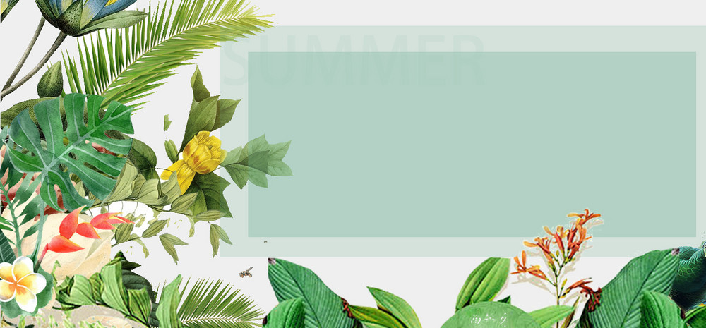 绿色植物清新天猫电商banner背景