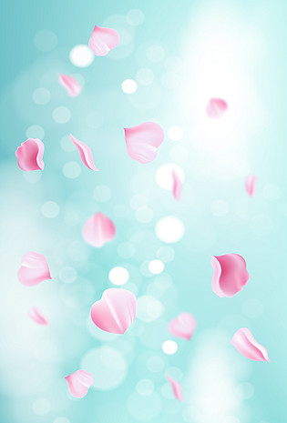 浅蓝色玫瑰花瓣飘落背景