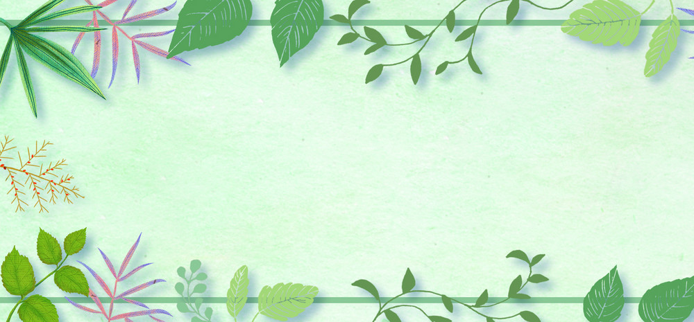 小清新海报边框背景