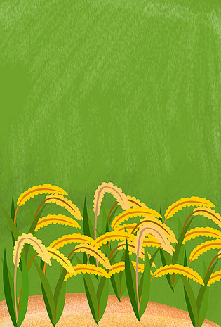稻谷背景