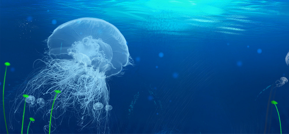 梦幻水母海底鱼群海报