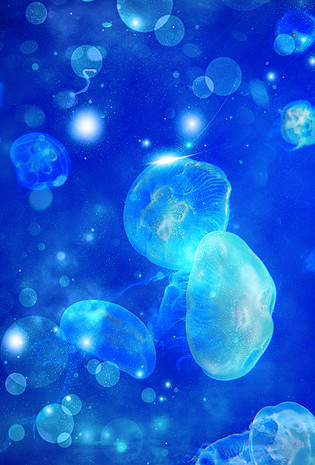 创意合成梦幻水母