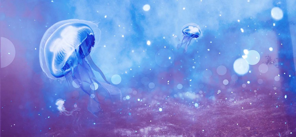 梦幻泡泡渐变水母海报背景已下载3次1920x1200渐变水母泡泡梦幻ui配色