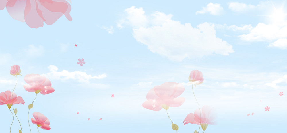 简约清新波斯菊鲜花植物拼接banner