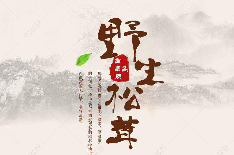 中国风松茸云南特产野生菌土特产详情页 