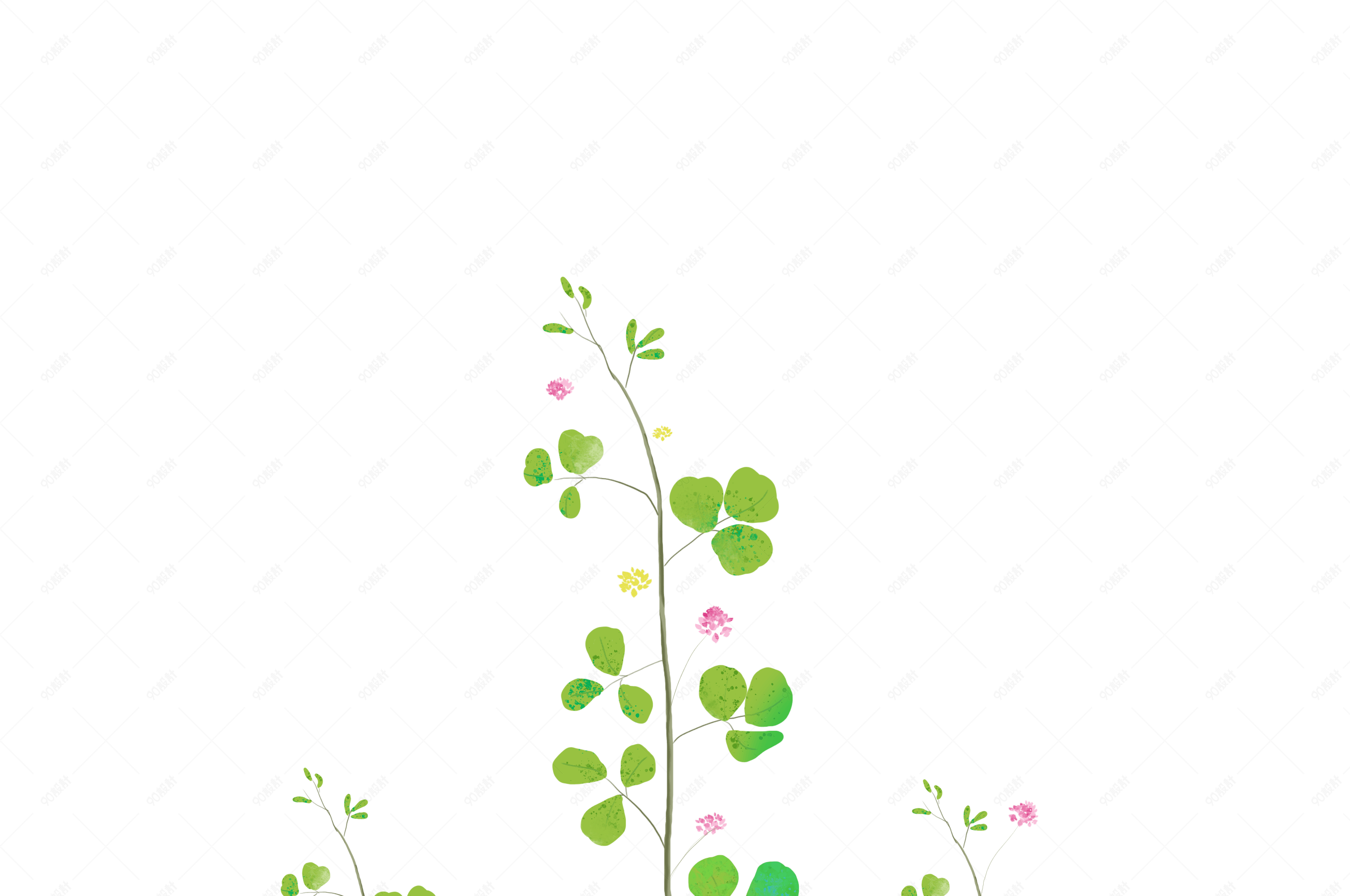 植物装饰幸运草小花手绘素材