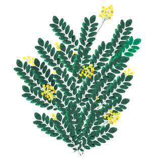 手绘花朵底纹装饰绿色植物素材