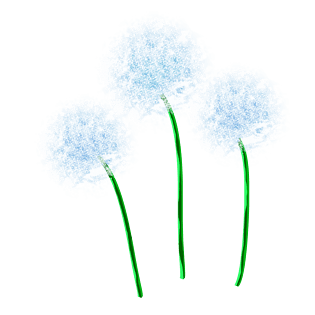 夏日植物蓝色蒲公英植物花朵装饰素材