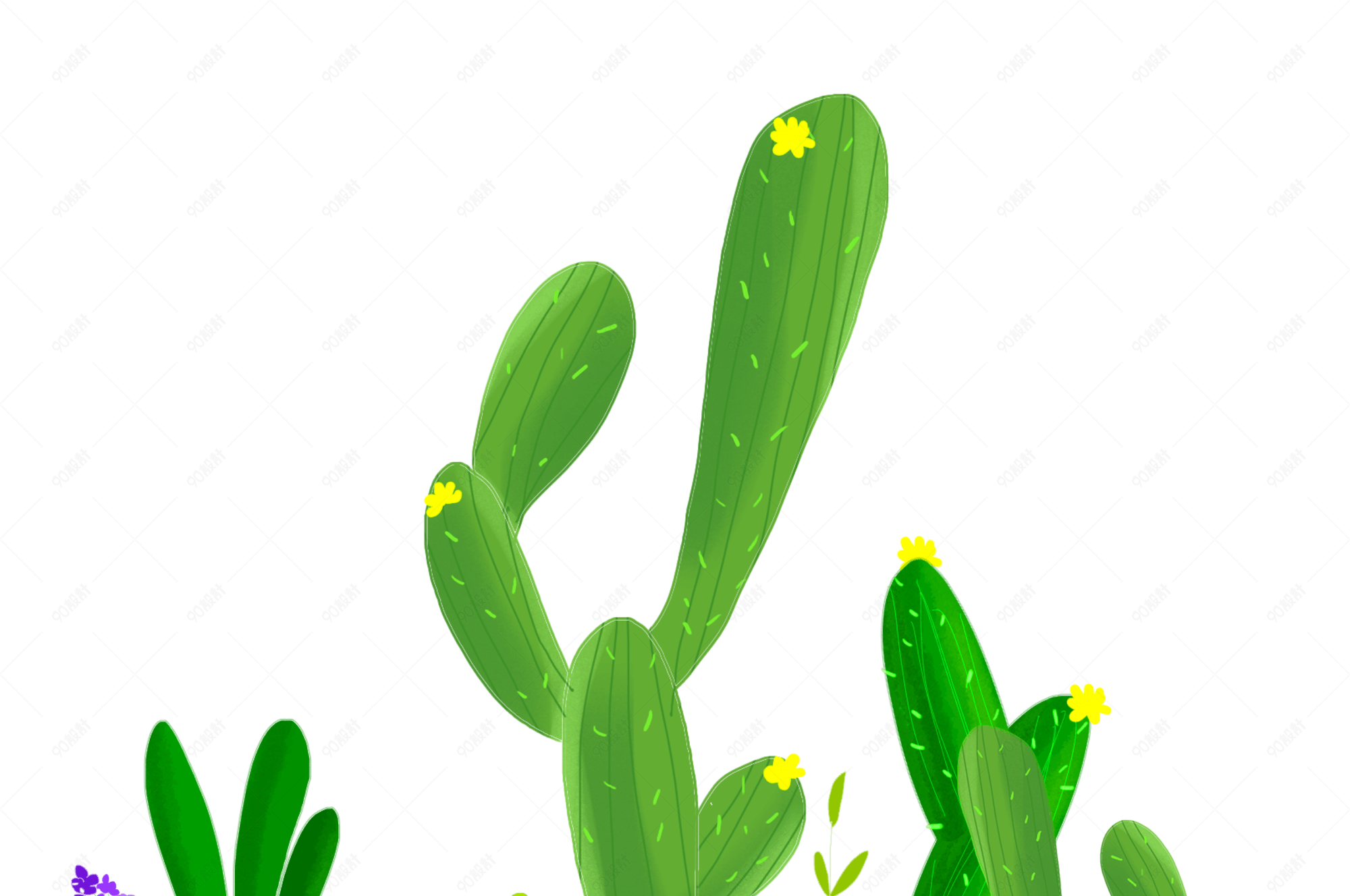 绿色植物仙人掌手绘素材