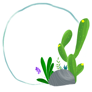 植物气泡图片大全