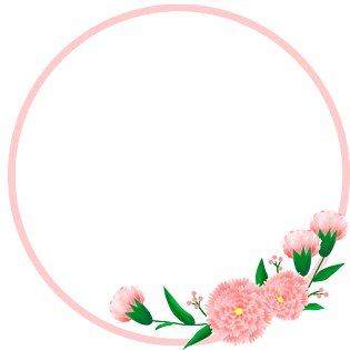 康乃馨图片大全