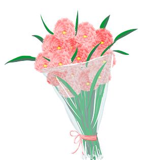 康乃馨图片大全