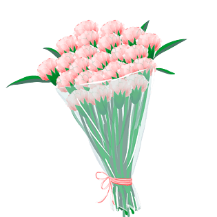 康乃馨图片大全