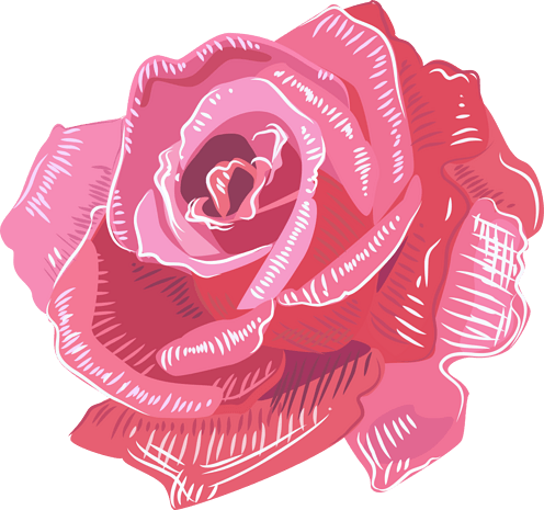 手绘玫瑰花瓣图片大全
