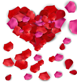 花瓣形状图片大全_花瓣形状图片素材【png免费下载】-90设计网