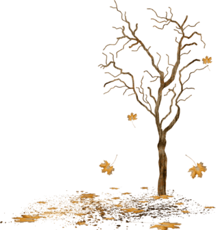 树 落叶 枯树元素