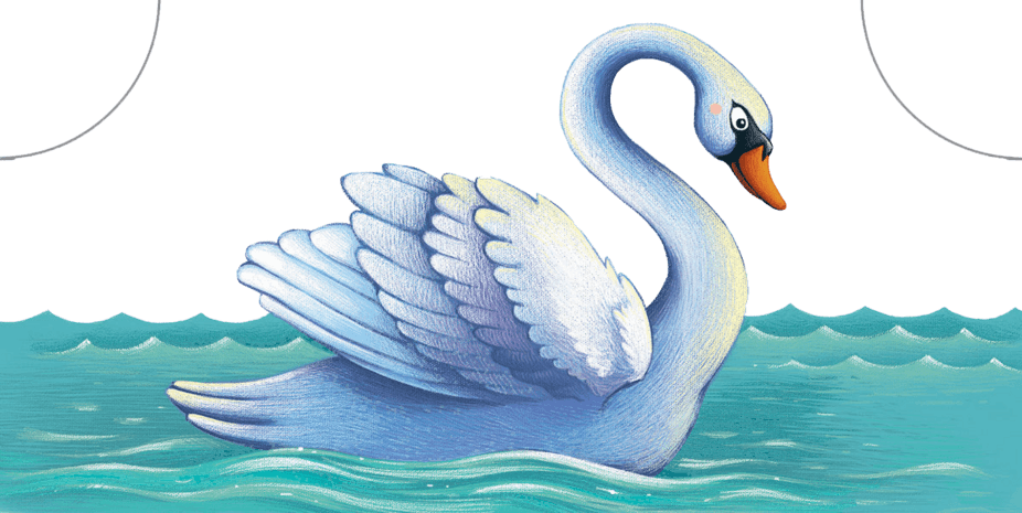 手绘天鹅图片大全