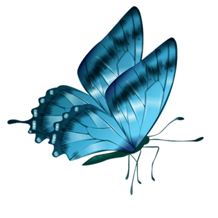 蝴蝶免抠图png透明素材pngpsd2000*2000蝴蝶兰花儿png免抠图素材png