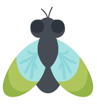 中国风蝉图片大全