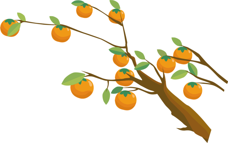 卡通柿子树pngpsd2000*2000手绘香蕉树pngpsd2000*200090设计为您提供