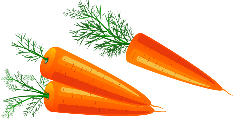 萝卜png图片大全_萝卜png图片素材【png免费下载】-90设计网