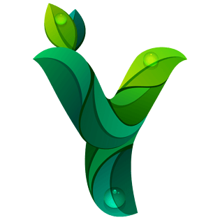 艺术字y图片大全