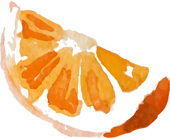 手绘水彩橘子瓣