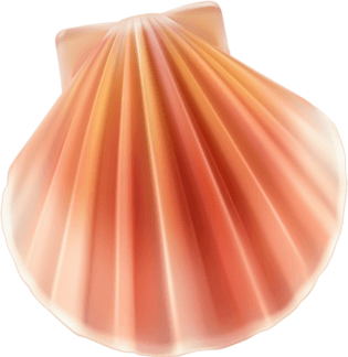 卡通手绘粉色贝壳