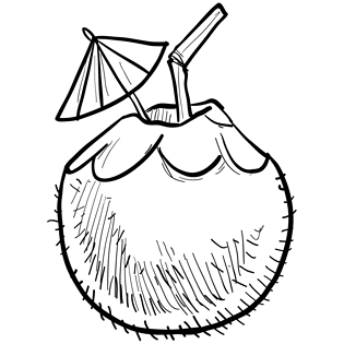 卡通手绘简笔画椰子png