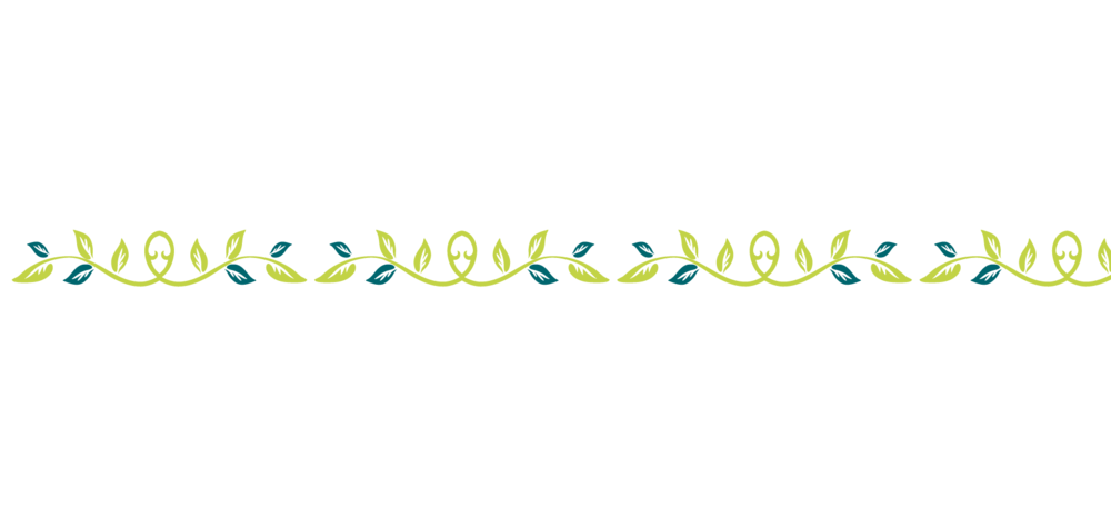 树叶线图片大全